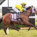 Foxy filly focused for Geisel Park